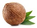 Whole brown coconut with textured shell resting on two green leaves on a white background.