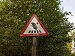 A triangular red road sign in a forest showing a cartoon hedgehog carrying a bundle while crossing a zebra crossing, representing hedgehog crossing awareness.