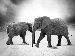 Two elephants walking across a dry plain under dramatic skies, one facing forward and one facing sideways, symbolising strength and partnership.