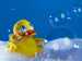 Measures illustration | A rubber duck in a bath