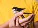 Child holding injured bird