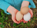 Child holding fresh eggs in hands