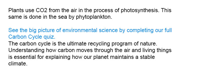 Plants use CO<sub>2</sub> from the air in the process of photosynthesis. This same is done in the sea by phytoplankton.

See the big picture of environmental science by completing our full Carbon Cycle quiz.
The carbon cycle is the ultimate recycling program of nature. Understanding how carbon moves through the air and living things is essential for explaining how our planet maintains a stable climate.