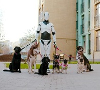 Robot Walking Some Dogs